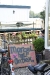 NIEUWKOOP 09-2008 070.JPG